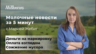 Молочные новости за 5 минут: деньги на маркировку, оплата взглядом и сожжение мусора