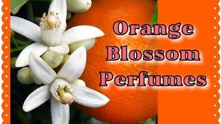 Perfume Collection 2021 | Best Orange Blossom Perfumes