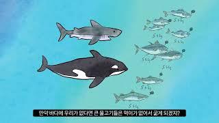 안다과학 6호1단계 도감 멸치