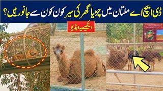 DHA Multan Zoo | DHA 360 Zoo