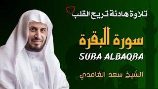 سورة البقرة الشيخ سعد الغامدي  Sheikh Saad Al Ghamdi  Surat Al Baqarah