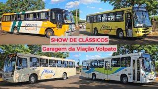 SHOW de CLÁSSICOS - Movimento de ônibus na Garagem da Viação Volpato