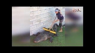 Monthly funny videos 2018, Best Fail & Win Compilation