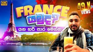නිවැරැදිව France යන්නේ මෙහෙමයි  | How To Go France #france #vlog #srilanka #youtube