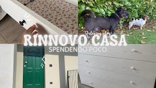 RINNOVO CASA SPENDENDO POCO  ESTERNO  e CAMERA DEGLI OSPITI ️  Relaxing vlog