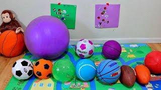 Learn Colors with Different Sports Ball for Baby and Toddlers