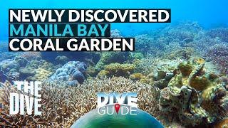 WATCH THIS: Another Newly Discovered Manila Bay Coral Garden in Maragondon