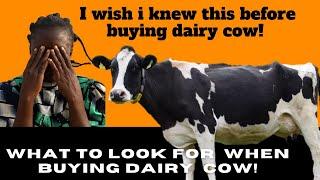 10 sensitive factors to consider before buying the best dairy cow in Kenya #farmworxkenya