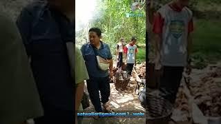 pabrik arang batok kelapa export | PT TUMBUHAN SATWA LIAR