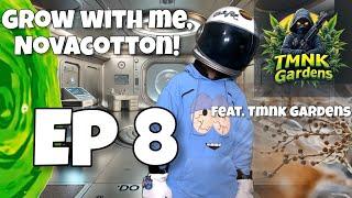 Grow with me, Novacotton! EP. 8 (week 7) Feat. @TMNKGardens