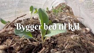 Bygger bed til kål