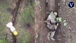 Un soldado ruso se salva milagrosamente de un ataque con dron en una trinchera