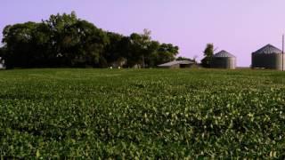 agriculture farming 2 - Royalty Free Stock Footage - High Quality Video - Free To Use