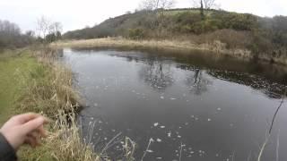 Trout, pike and salmon fishing in Ireland