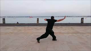 movimento marziale  #kungfu