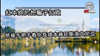 低成本移民歐盟國家-斯洛文尼亞，房地產市場分析，投資回報率分析，移民歐洲國家，5萬歐元起步。【會員視頻摘錄】