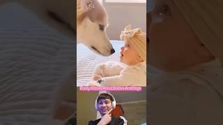 Funny stories about babies and dogs  |#22| #Funny #baby #dog #love #shorts #pet