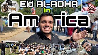 Eid al-Adha in America | Muslim Life in America