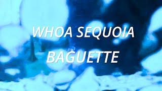 Whoa Sequoia - BAGUETTE (Official Video)