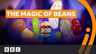 In the future, your diet will be mostly beans | Animated Documentary  - BBC