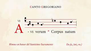 "Ave verum Corpus" – Hymn in honor of the Blessed Sacrament – Gregorian Chant