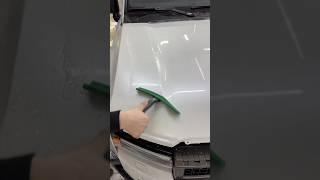 Satisfying PPF install | Prado 250