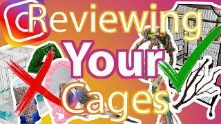 Reviewing Your Cages! Part 1 | Flock Talks