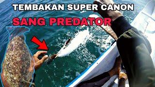 Ngetrip Sendiri || Dapat Jackpot Predator Bercangkang Keras (sotong)|| Mancing Cumi Sampan Belitung