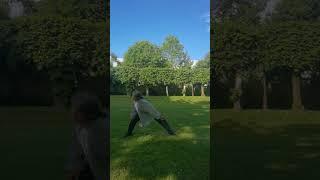 Qi Gong #taichi #Qigong#martialarts #sports #fitness #wellness #health