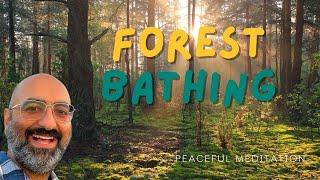 Forest Bathing Meditation