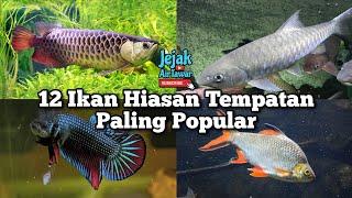 12 ikan hiasan tempatan yang paling popular