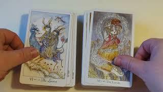 Paulina Cassidy / Fae ~ Joie de Vivre & Paulina Tarot deck side by side full flip through USGames