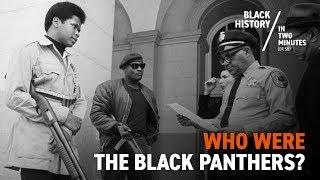 The Birth of the Black Panthers