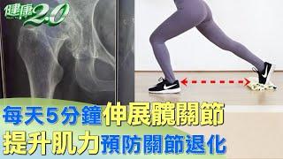 每天5分鐘伸展髖關節 提升肌力預防關節退化 健康2.0 @tvbshealth20