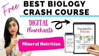 Best Biology Crash Course | Mineral Nutrition | Ishita Khurana