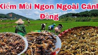 CÙNG CÁC CHỊ EM NGƯỜI THÁI KIẾM MỒI NGOÀI CÁNH ĐỒNG KHÔNG NGỜ LẠI ĐƯỢC MÓN NGON/ẨM THỰC TÂY BẮC