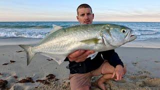 Back to Basics “ Gang Hooks & Pilchards “ Beach Fishing