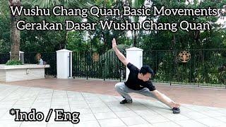 Gerakan Dasar Wushu Chang Quan - Wushu Training