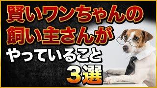 賢いワンちゃんの飼い主さんがやっていること3選