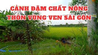 Khám phá xã Tân Nhựt Huyện Bình Chánh TP.HCM