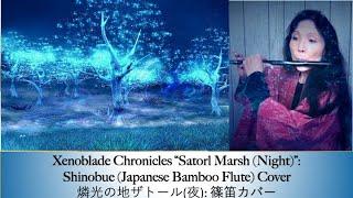 Beautiful Xenoblade Chronicles "Satorl Marsh (Night)": Shinobue Flute Cover 燐光の地ザトール(夜): 篠笛カバー