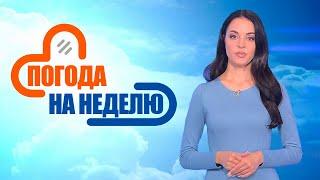 Осеннее похолодание и туманы! | Погода в Беларуси с 29 сентября по 5 октября | Плюс-минус