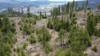 Drone Footage of St. Maries, North Idaho.