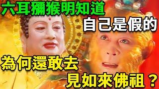 六耳獼猴明明知道自己是假的，為何還敢去西天見如來佛祖？答案很恐怖