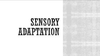 Sensory Adaptation - Anatomy & Physiology