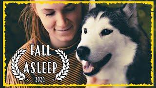 Relaxing Music For Dogs ~ HUSKY Chakra Music ~ Music that relaxes Dogs