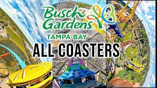 All Roller Coasters at Busch Gardens Tampa 4K On Ride POV