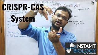 CRISPR-CAS System