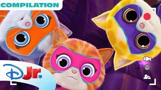 SuperKitties Su-Purr Adventures Shorts  | Compilation | 20 Minutes | @disneyjr