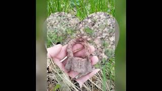 #коп#лес#апрель #nature #metaldetecting#отдых для души#
